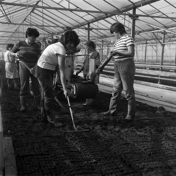 minerva_1988_agrar_c7r1_005