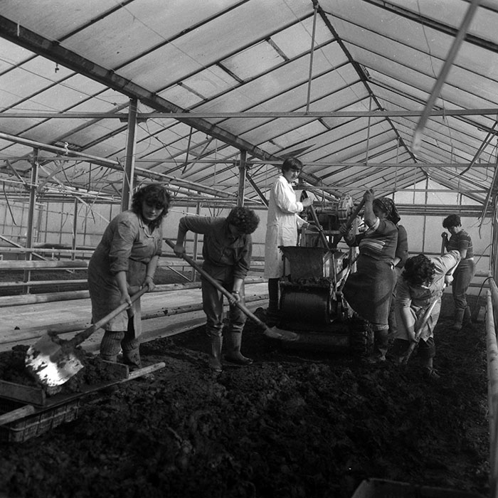 minerva_1988_agrar_c7r1_007