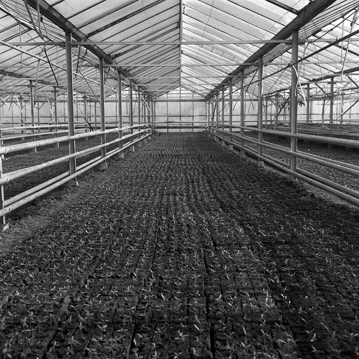 minerva_1988_agrar_c7r1_008