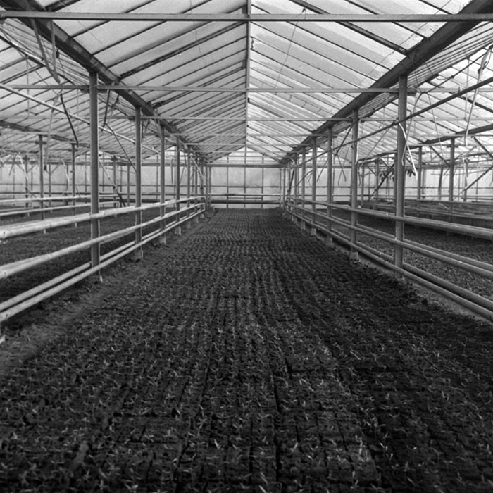 minerva_1988_agrar_c7r1_009