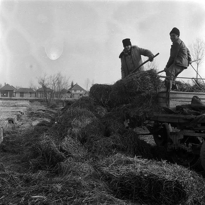 minerva_1988_agrar_c7r2_002