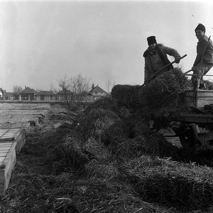 minerva_1988_agrar_c7r2_003