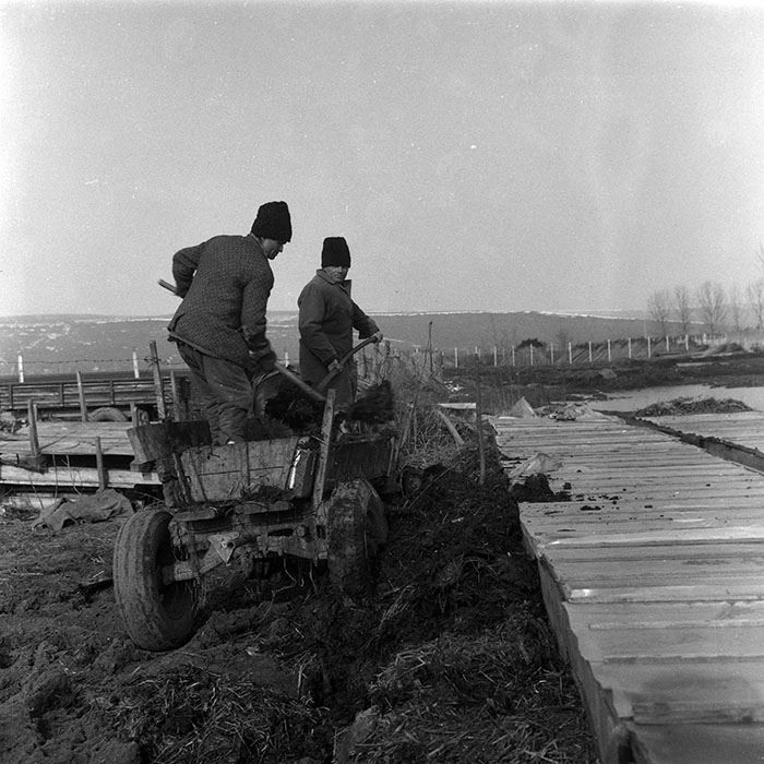 minerva_1988_agrar_c7r2_004