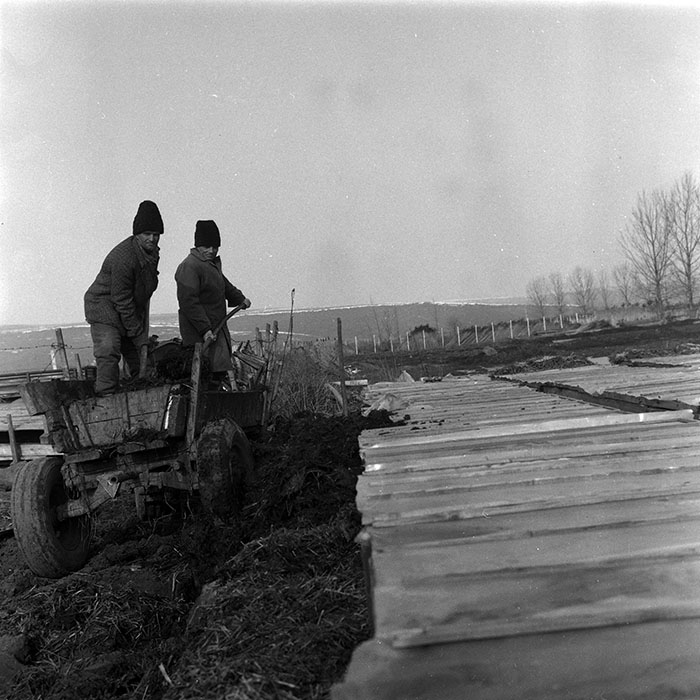 minerva_1988_agrar_c7r2_005