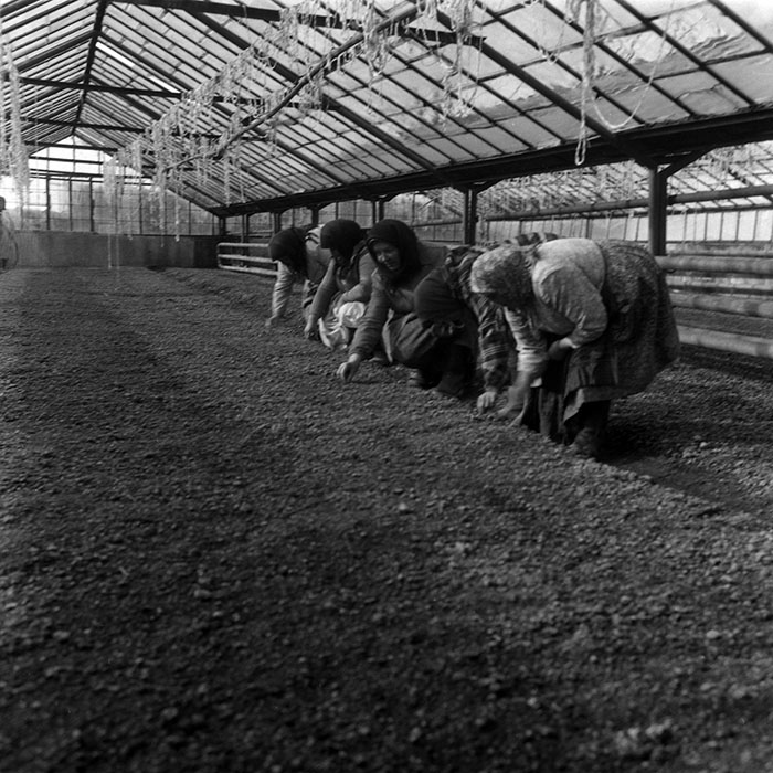 minerva_1988_agrar_c7r2_008