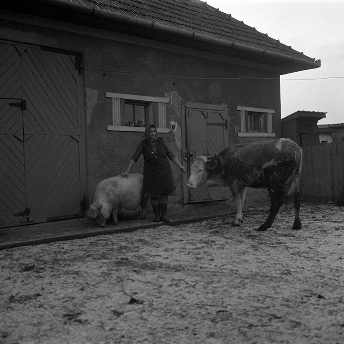 minerva_1988_agrar_c7r3_001