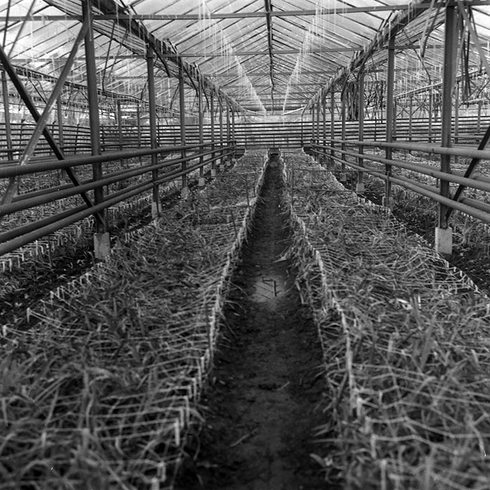 minerva_1988_agrar_c7r3_012