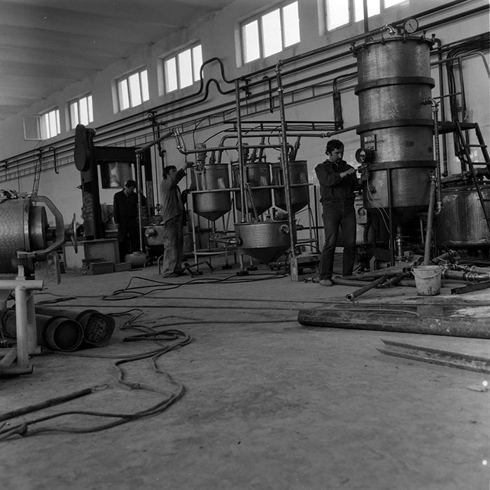 minerva_1988_agrar_c7r4_006