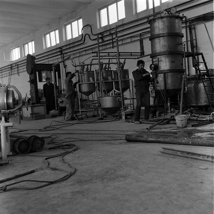 minerva_1988_agrar_c7r4_007