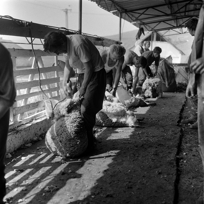 minerva_1988_agrar_c7r4_015