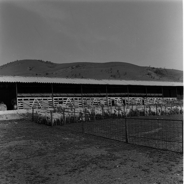 minerva_1988_agrar_c7r4_020