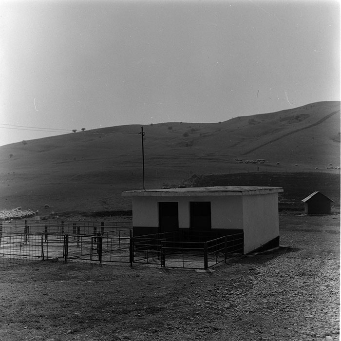 minerva_1988_agrar_c7r4_022