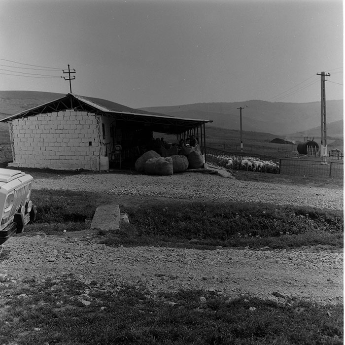 minerva_1988_agrar_c7r4_023