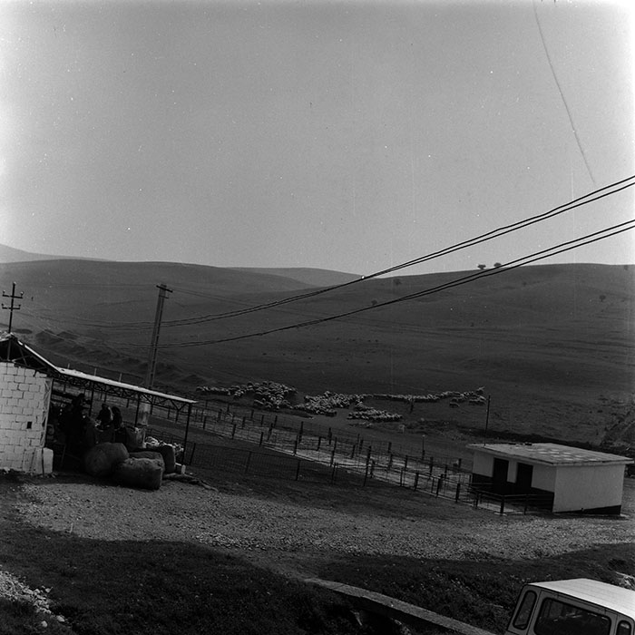 minerva_1988_agrar_c7r4_024