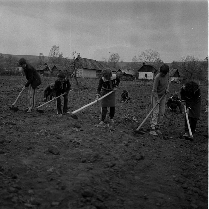 minerva_1988_agrar_c8r1_001