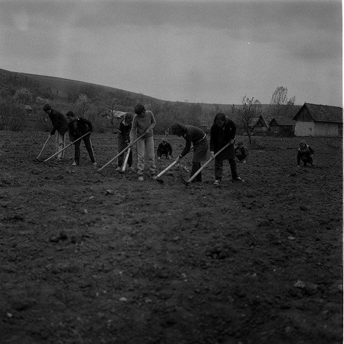 minerva_1988_agrar_c8r1_002