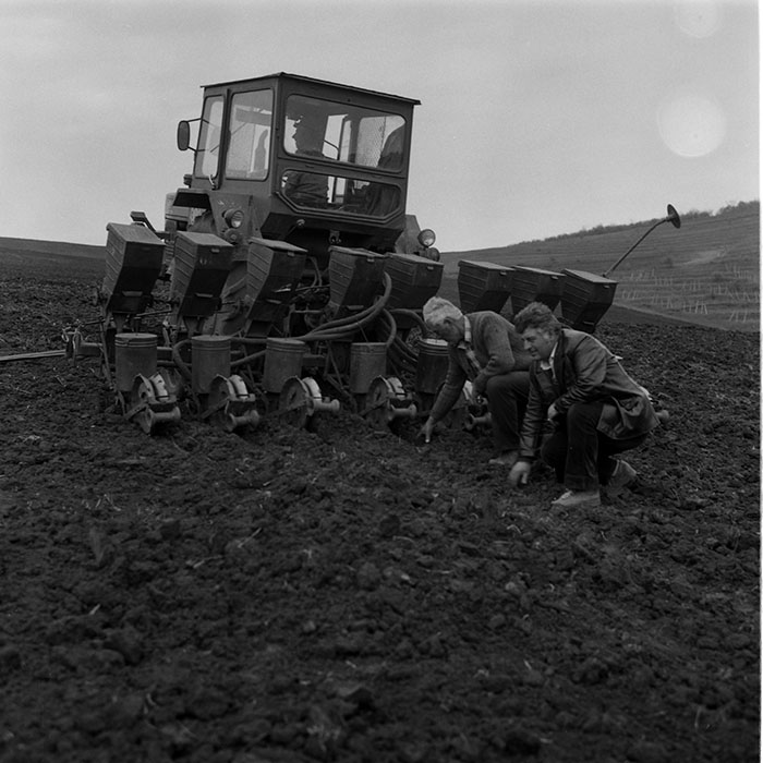 minerva_1988_agrar_c8r1_006