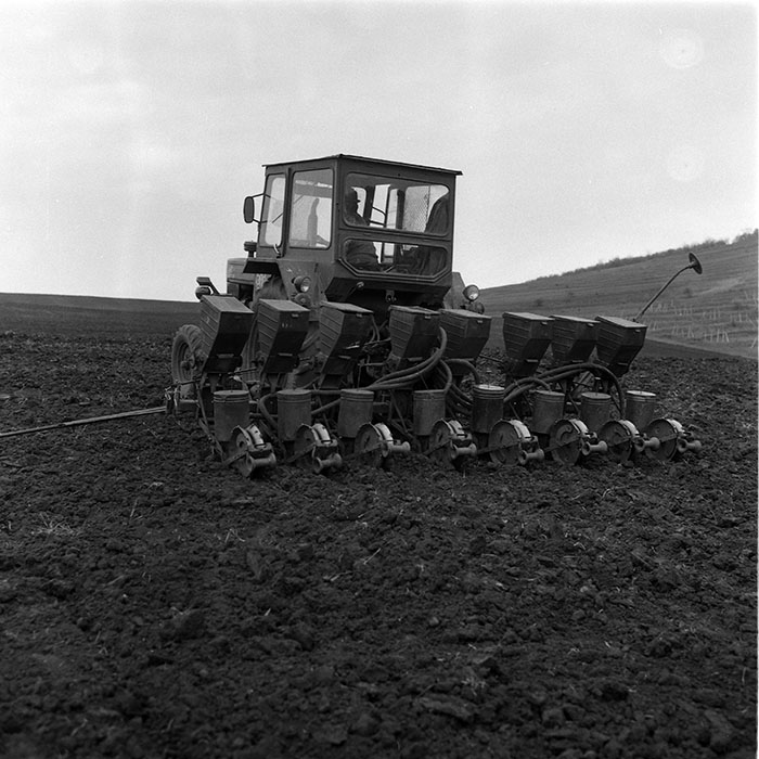 minerva_1988_agrar_c8r1_007