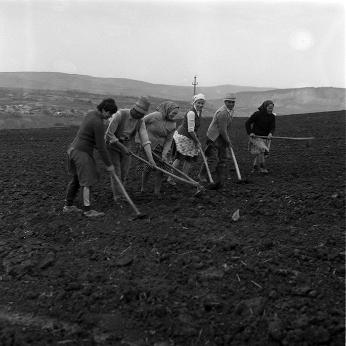 minerva_1988_agrar_c8r1_008