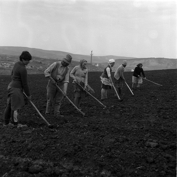 minerva_1988_agrar_c8r1_009