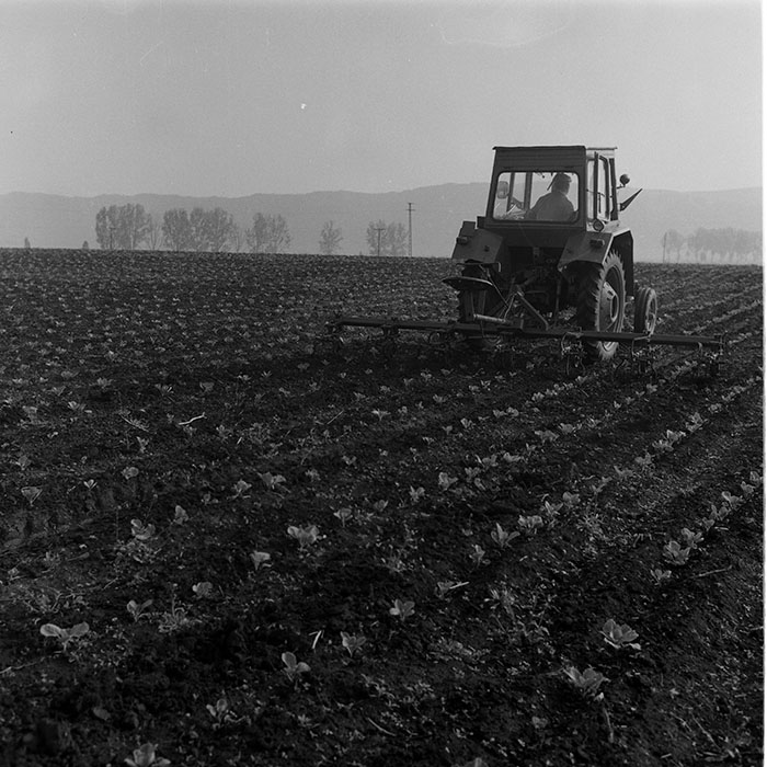 minerva_1988_agrar_c8r2_013