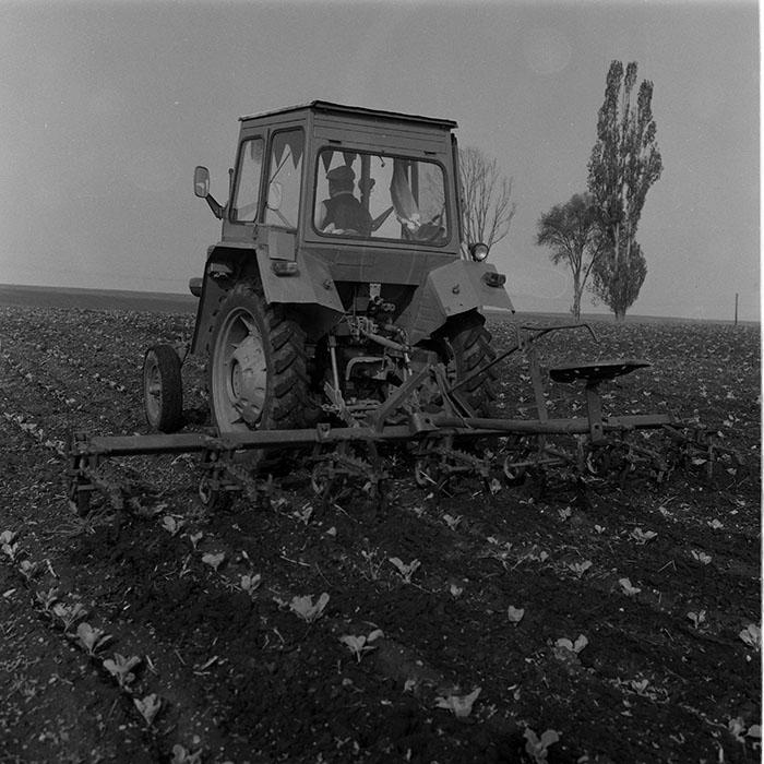 minerva_1988_agrar_c8r2_014