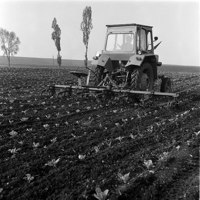 minerva_1988_agrar_c8r2_015