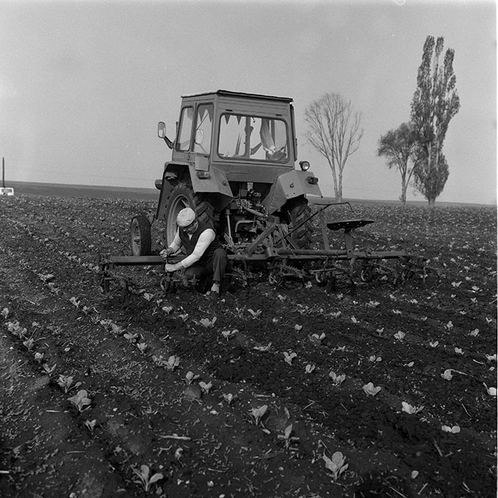 minerva_1988_agrar_c8r2_016