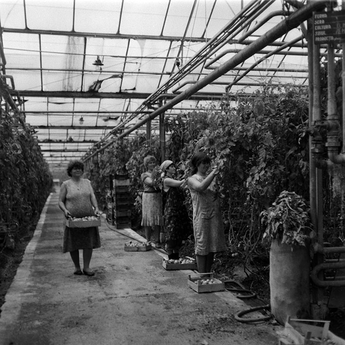 minerva_1988_agrar_c8r3_001