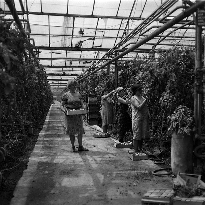 minerva_1988_agrar_c8r3_002