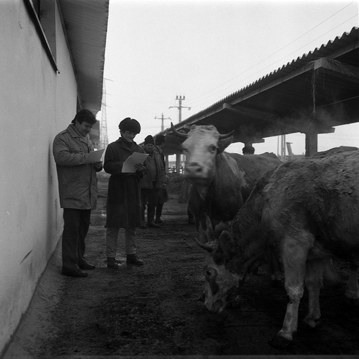 minerva_1988_agrar_c8r4_003