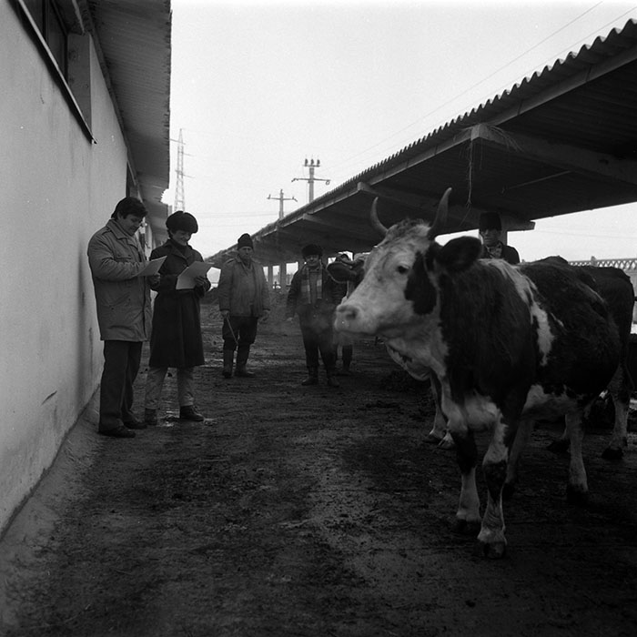 minerva_1988_agrar_c8r4_004