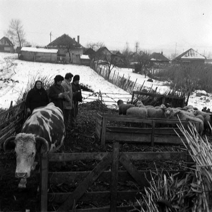 minerva_1988_agrar_c8r4_005