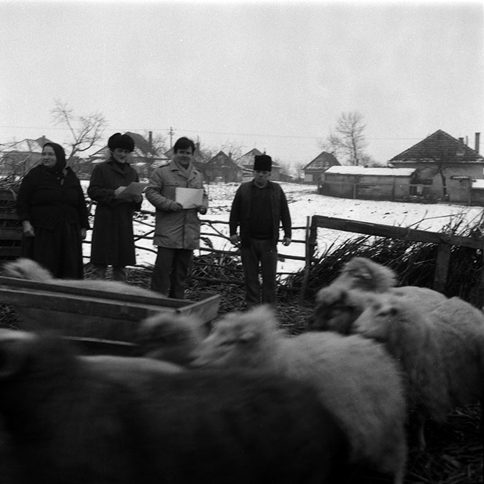 minerva_1988_agrar_c8r4_007