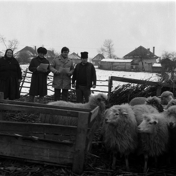 minerva_1988_agrar_c8r4_008