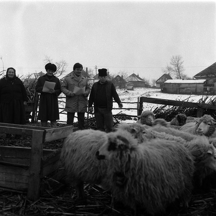 minerva_1988_agrar_c8r4_009