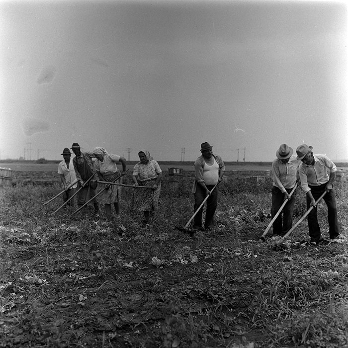 minerva_1988_agrar_c8r5_002