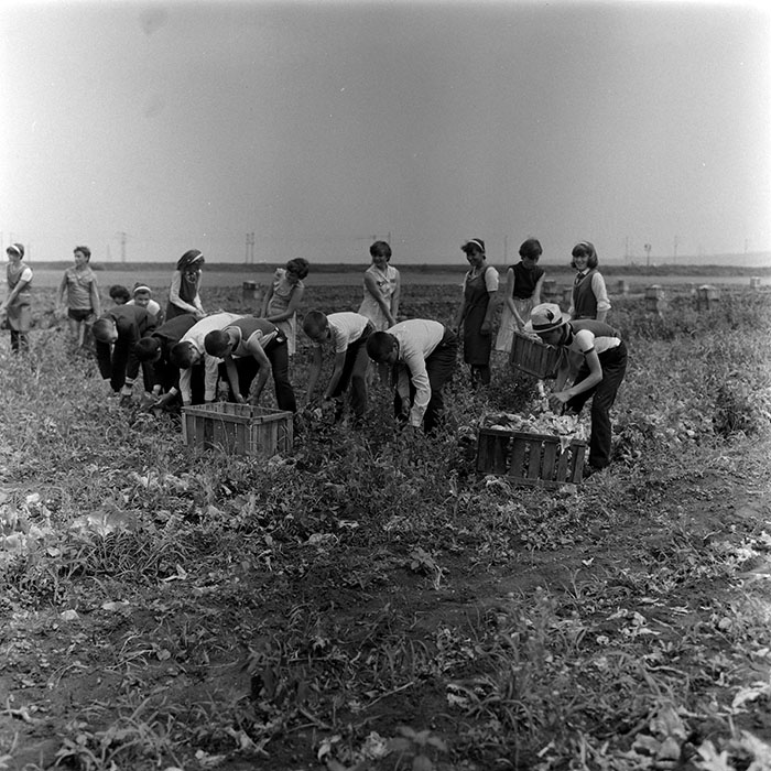 minerva_1988_agrar_c8r5_003