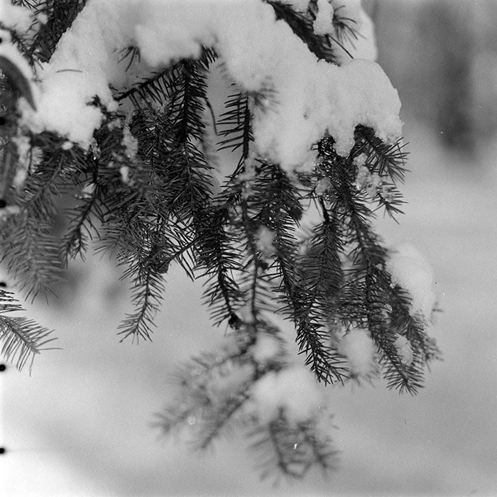 minerva_1988_industrie_c2r2_010