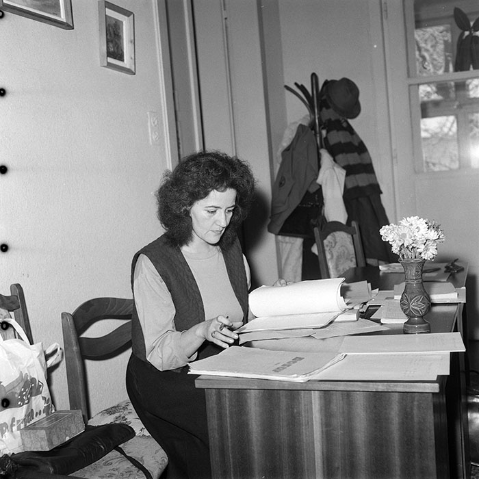 minerva_1988_industrie_c2r6_002