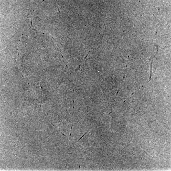 minerva_1988_industrie_c3r8_010