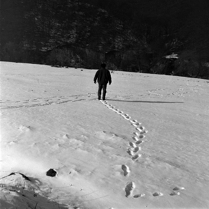 minerva_1988_industrie_c4r16_005