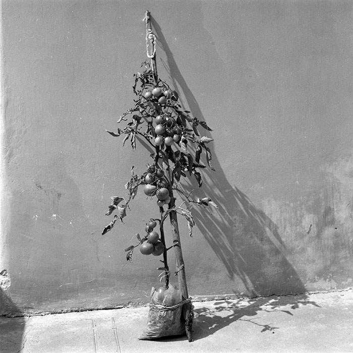 minerva_1988_industrie_c4r22_001