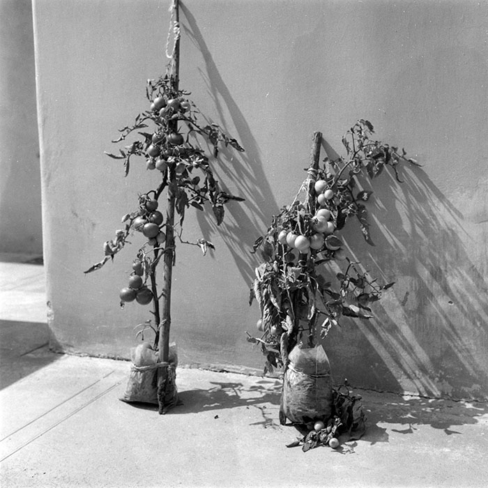 minerva_1988_industrie_c4r22_003