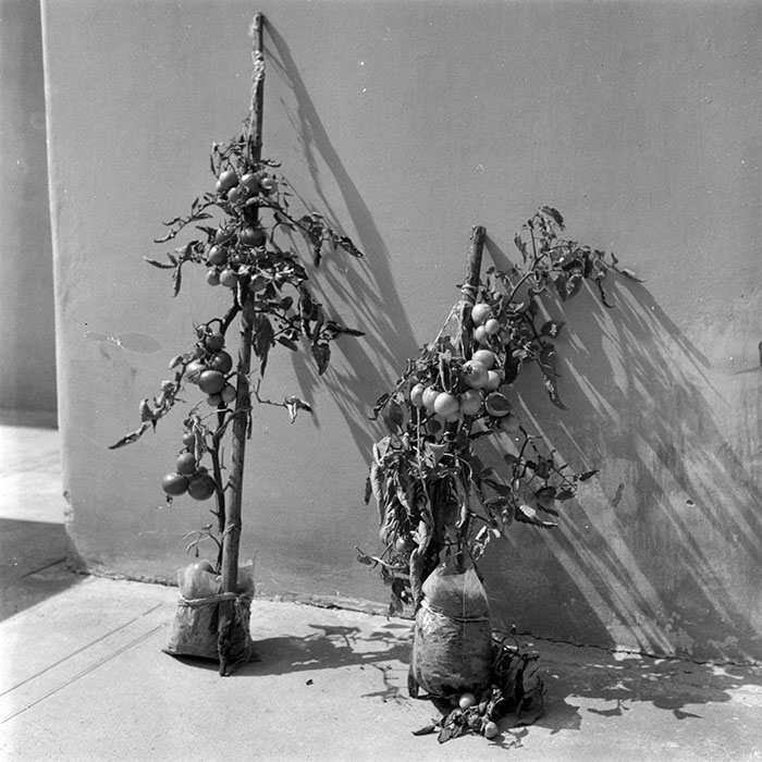 minerva_1988_industrie_c4r22_004