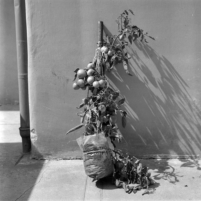 minerva_1988_industrie_c4r22_005