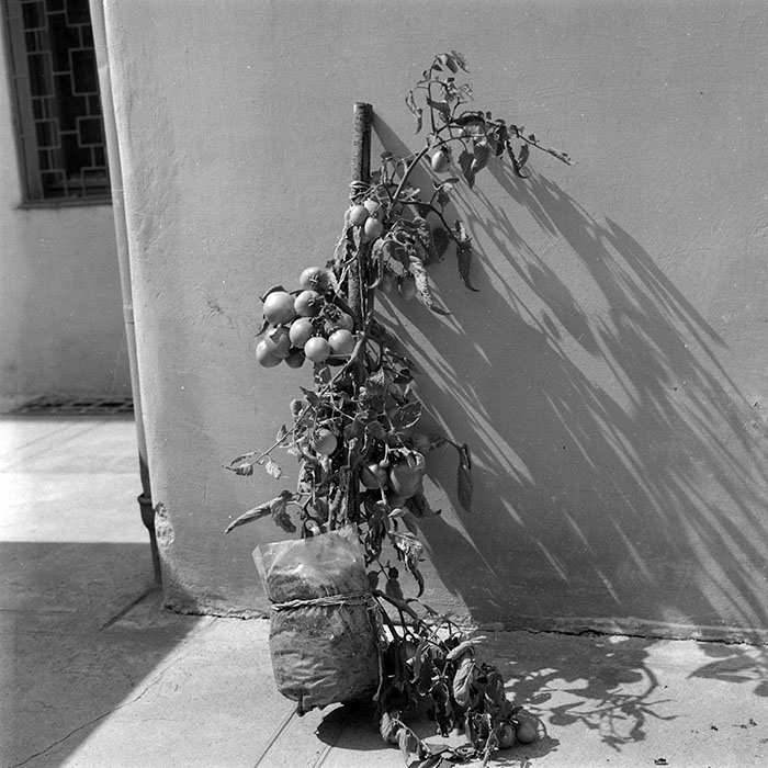 minerva_1988_industrie_c4r22_006