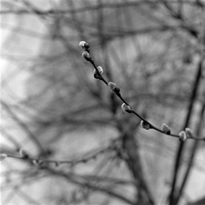 minerva_1988_industrie_c4r5_010