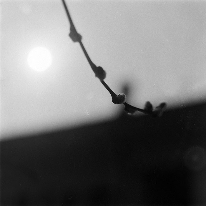 minerva_1988_industrie_c4r5_011