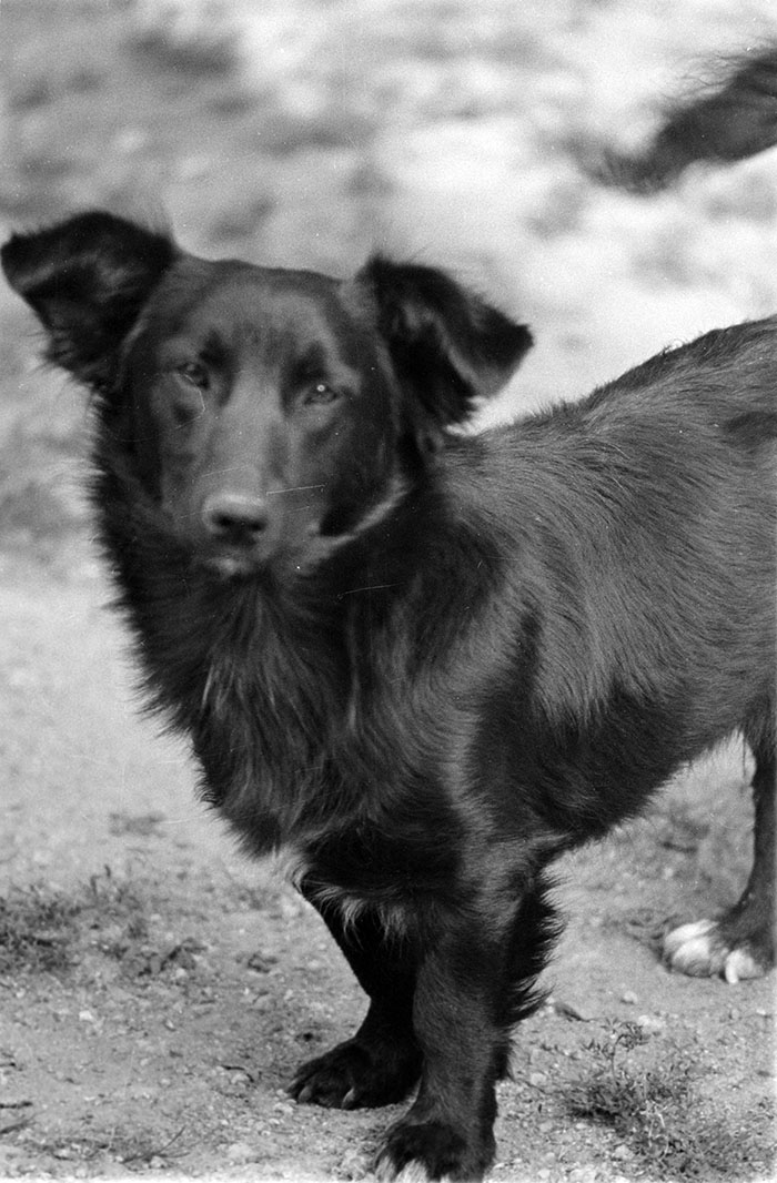 minerva_1988_industrie_c5r12_009